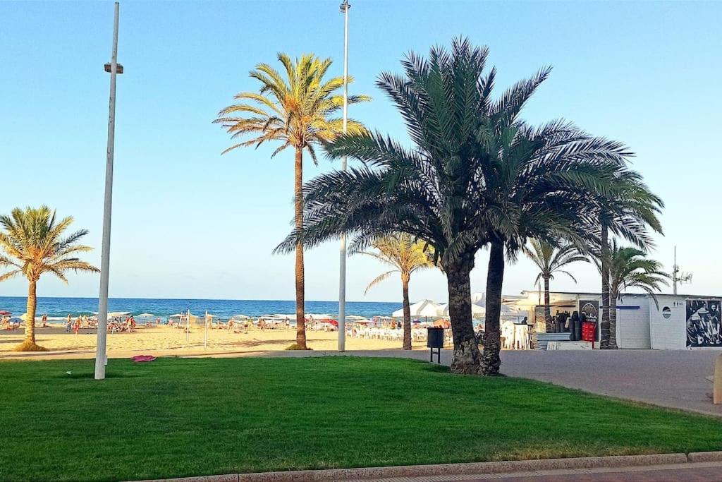 Apartamento, Estudio En La Playa Playa de Gandia المظهر الخارجي الصورة